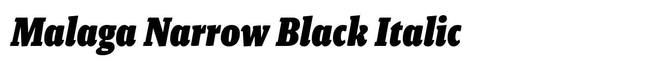 Malaga Narrow Black Italic